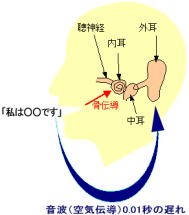 空気伝導