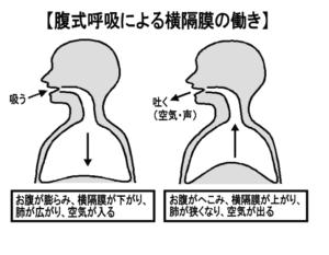 腹式呼吸